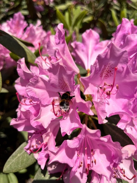 23-06-03 16-51-27 5804.jpeg